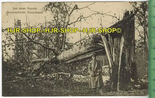 Von einer Granate zerschmetterter Riesenbaum, 1916 Verlag: F. Conrad, Metz, FELD-POSTKARTE-ohne Frankatur, mit  Stempel,