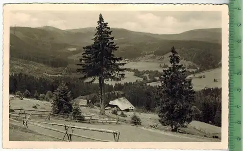 Bärental mit Feldberg 1955, Verlag: Schöning & Co., Lübeck, POSTKARTE mit Frankatur,  mit Stempel 10.8.55