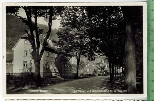 Zorge (Südharz), Pension Bischoff 1950/1960,    Verlag: Carl Rauschenbach, Zorge,  POSTKARTE, Erhaltung: I-II,