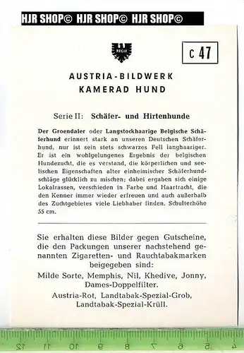 Der Groendaler, c 47 Austria-Bildwerk, Kamerad Hund, Serie II: Schäfer und Hirtenhunde.