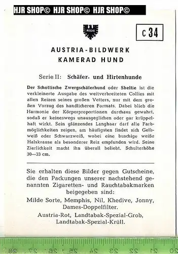 Der Schottische Zwergschäferhund oder Sheltie, c 34 Austria-Bildwerk, Kamerad Hund, Serie II: Schäfer und Hirtenhunde.
