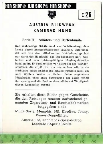 Der rauhaarige Schäferhund aus Württemberg, c 26 Austria-Bildwerk, Kamerad Hund, Serie II: Schäfer und Hirtenhunde.