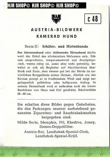 Der Abruzzenhund oder italienische Hirtenhund, c 48 Austria-Bildwerk, Kamerad Hund, Serie II: Schäfer und Hirtenhunde.