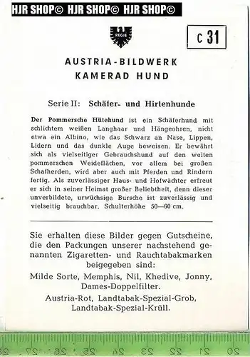 Der Pommersche Hütehund, c 31 Austria-Bildwerk, Kamerad Hund, Serie II: Schäfer und Hirtenhunde.