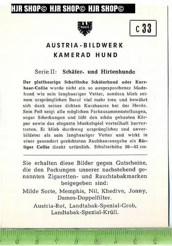 Der glatthaarige Schottische Schäferhund oder Kuzhaar-Collie, c 33 Austria-Bildwerk, Kamerad Hund, Serie II: Schäfer und