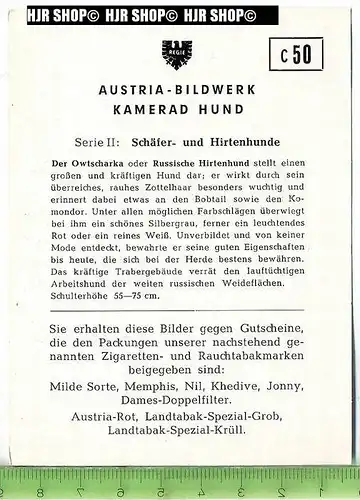 Der Owtscharka oder Russische Hirtenhund, c 50 Austria-Bildwerk, Kamerad Hund, Serie II: Schäfer und Hirtenhunde.