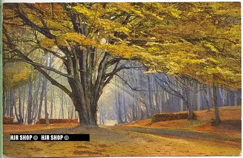 um 1910/1920 Ansichtskarte, FELDPOST  „ Photochromie“ mit Stempel