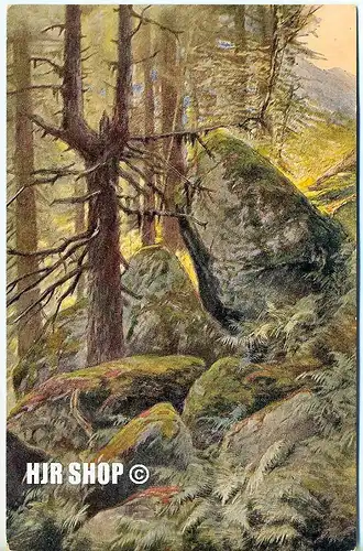 Postkarte, Felsenschlucht