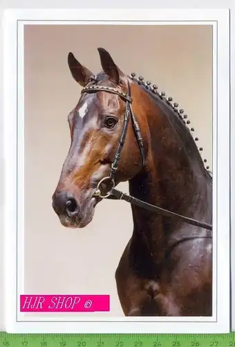 Pferde-Doppelkarte, Flirt, ungel.