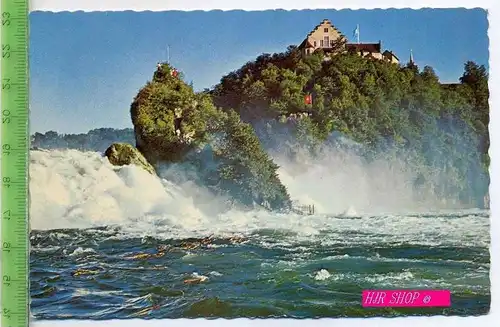 Rheinfall mit Schloss Laufen ungel.