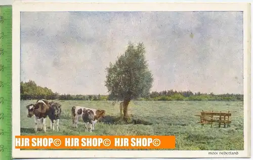 Mooi Nederland 1930/1940,  Sammelbild 15 x 9,5 cm,  Serie E 26