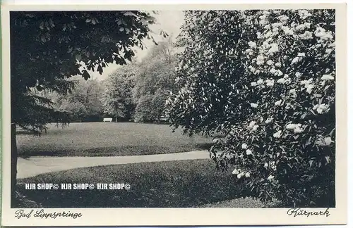 „ Bad Lippspringe, Kurpark“   um 1920/1930,  Ansichtskarte, ungebrauchte Karte