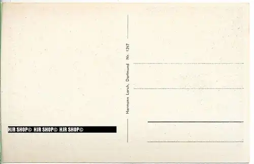 „ Bad Lippspringe, Kurpark“   um 1920/1930,  Ansichtskarte, ungebrauchte Karte