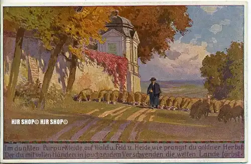 um 1920/1930  Antsichtskarte,  „Herbst, paul Hey Nr.2  “ ohne Frankatur, Stempel,