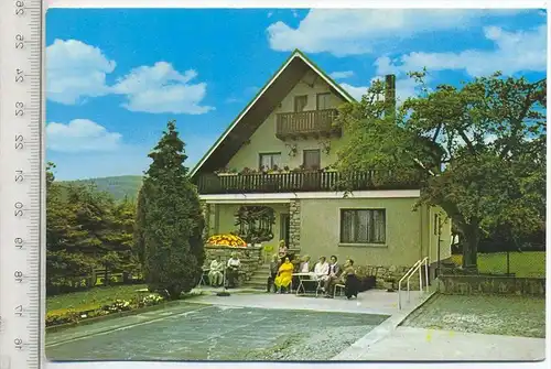 Waldernbach Pension”Jagdhaus”, um 1970/80, Verlag: Fotohaus Walter Reebs, Postkarte mit Frankatur, mit Stempel,