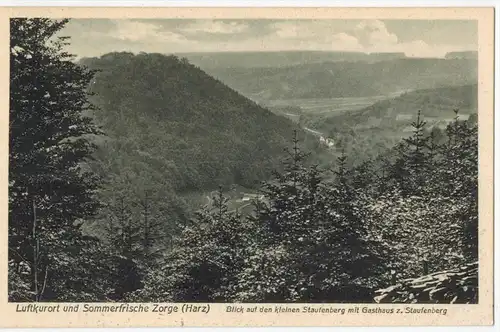 Zorge, Blick auf den kleinen Staufenberg um 1950/1960 Verlag: Carl Rauschenbach,Zorge, POSTKARTE   Erhaltung: I-II Karte