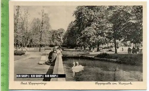 „Bad Lippspringe, Lippquelle im Kurpark“ um 1930/1940 Ansichtskarte, ungebrauchte Karte