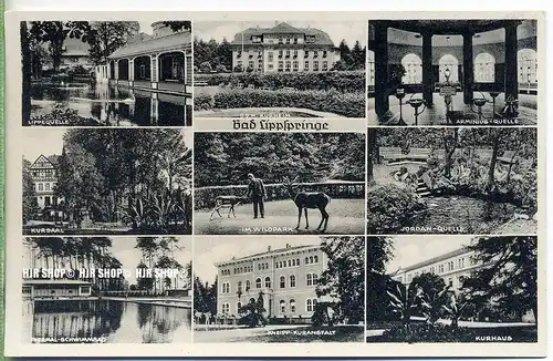 „Bad Lippspringe“   um 1910/1920,  Ansichtskarte, ungebrauchte Karte