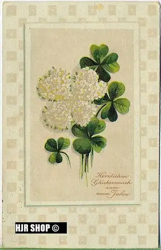 um 1910/1920 Ansichtskarte Blumen,  gelaufene Karte