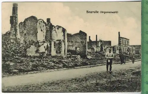 Binarville (Argonnenwald) , 1910/1920, Verlag: Schaar & Dathe, Trier, Nr. 324, Postkarte, Erhaltung: I-II, unbenutzt