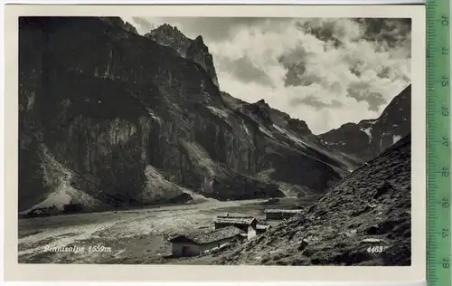 Pinnisalpe, 1559m  Verlag: Chizzall, Insbruck, POSTKARTE Erhaltung: I-II, Karte wird in Klarsichthülle verschickt.(H)