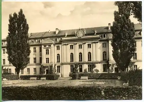 Greifswald, Universität um 1960/1970, Verlag: Erhard Neubert KG ,  Postkarte,  unbenutzte Karte,  Erhaltung: I-II