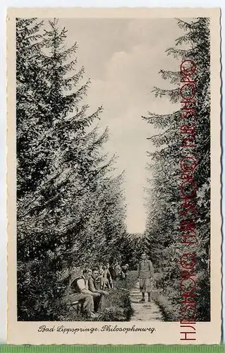 Bad Lippspringe. Philosophenweg um 1940/1950 Verlag:  Carl Theoricht, Hann. Münden. Postkarte unbenutzte Karte ,  Erhalt
