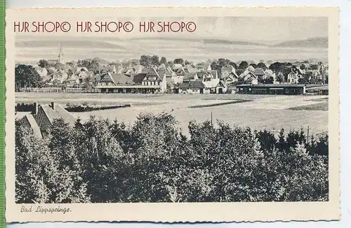 Bad Lippspringe um 1910/1920 Verlag:  Carl Theoricht, Hann. Münden. Postkarte unbenutzte Karte , Erhaltung: I-II Karte w