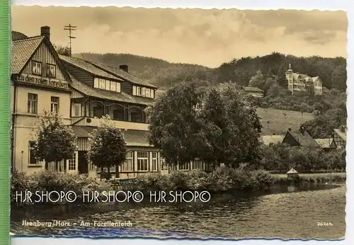 Ilsenburg/Harz – Am Forellenteich,  Verlag: E. Riehn. Wernigerode. POSTKARTE ,  mit Frankatur, mit Stempel, Ilsenburg