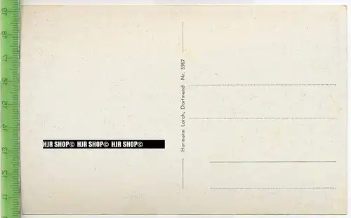 „Bad Lippspringe, Im Wildpark“ um 1930/1940 Ansichtskarte, ungebrauchte Karte