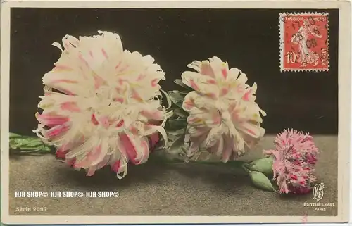 „Blumen“  um 1900/1910  ANSICHTSKARTE,  mit Frankatur, mit Stempel