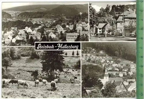 Steinbach-Hallenberg