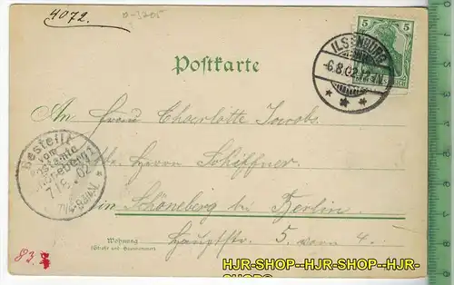 Gruß aus Ilsenburg, Hotel Prinzess Ilse-1902,-Verlag: Kosmos, Halberstadt, POSTKARTE, mit Frankatur,