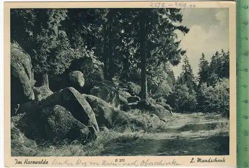 Im Harzwalde, Verlag: L. Mundschenk, Bevensen, Postkarte, Maße: 14,8 x 10,5 cm, Erhaltung: I-II, unbenutzt