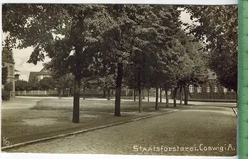 Coswig, Staatsförsterei, Verlag: Ko.,  Postkarte ohne Frankatur und Stempel   MIT BEFÖRDERUNGSSPUREN,  Erhaltung: I-II