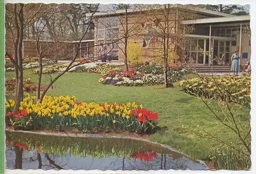 Keukenhof, Lisse-Holland um 1950/1960 Verlag:  Planeta-Haarlem-Holland Postkarte Mit Frankatur, mit Stempel , SCHÜTTOR,