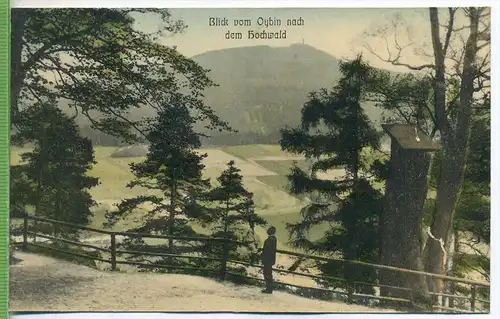 Blick vom Oybin nach dem Hochwald um 1920/1930, Verlag: H. Richter, Zittau, Nr. 481, Postkarte,  unbenutzte Karte