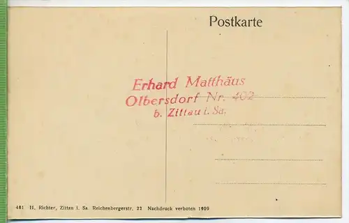 Blick vom Oybin nach dem Hochwald um 1920/1930, Verlag: H. Richter, Zittau, Nr. 481, Postkarte,  unbenutzte Karte