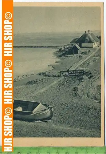 „Schneider-Karte Nr. 50727, Aufn. G. Retzlaff“, um 1930/1940,  Ansichtskarte  ungebrauchte Karte