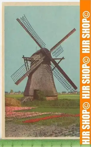 „Windmühle“ um 1940/1950, Ansichtskarte  ungebrauchte Karte
