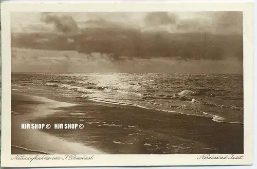 um 1920/1930 Ansichtskarte,  „Juist, Naturaufnahme von J. Dreesbach“ , ungebrauchte Karte