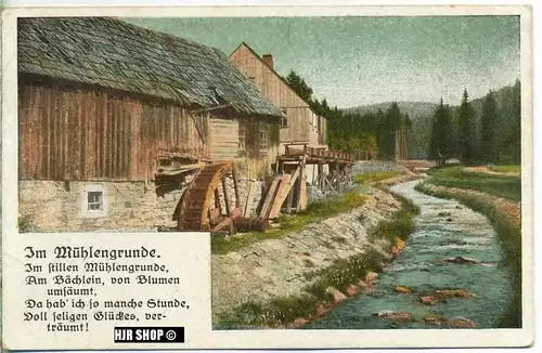 um 1910/1920 Ansichtskarte im Mühlengrunde