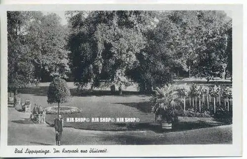 „Bad Lippspringe. Im Kurpark zur Blütezeit“   um 1910/1920,  Ansichtskarte, ungebrauchte Karte