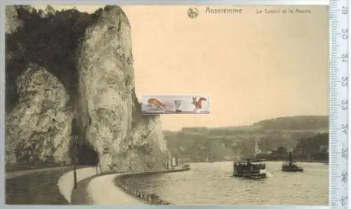 Anseremme Le Tunnel et la Meuse-1915-, Verlag: Ern. Thill, Brux., FELD- POSTKARTE ohne Frankatur, mit Stempel,