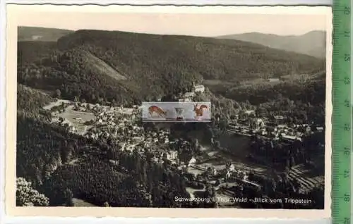 SCHWARZBURG-BLICK VOM TRIPPSTEIN, Verlag: R. Bechstein, Sitzendorf,   POSTKARTE, Erhaltung: I-II, unbenutzt