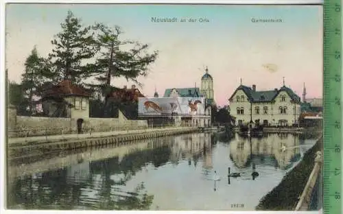 Neustadt an der Orla, Gamsenteich - 1908 -Verlag: -------,   POSTKARTE mit Frankatur, mit Stempel   13.9.08