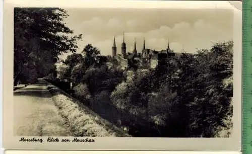 Merseburg, Blick von Meuschau, Verlag: W. Mohr, Leipzig,  POSTKARTE, Erhaltung: I-II, unbenutzt