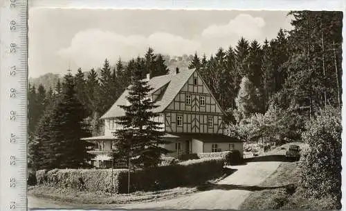 Burg Hauneck - Gasthaus, um 1960/70,  Verlag:--, Postkarte, Erhaltung: I -II Karte wird in Klarsichthülle verschickt.