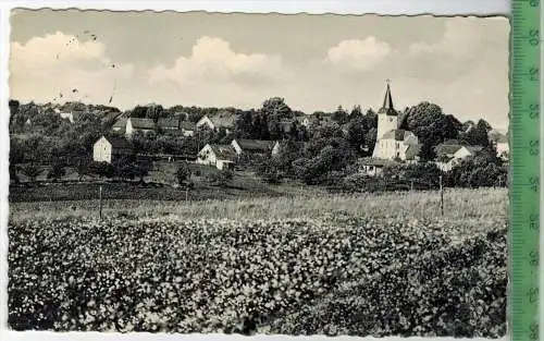 Flammersfeld, Luftkurort um 1960/1970, Verlag: Max Klein, Flammersfeld,  POSTKARTE,  mit Frankatur, mit Stempel,