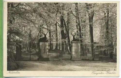 Neustrelitz,Tiergarten-Hirschtor um 1930/1940, Verlag:  Rudolf Knöfel, Postkarte mit Frankatur, mit Stempel, NEUSTRELITZ